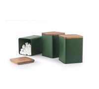 Juego de 3 Botes Salter Toronto - Botes de Almacenamiento para Té, Café, Azúcar, Acabado Mate Recubierto en Polvo, Tapas de Madera de Acacia, Fácil Limpieza, Tarros Compactos que Ahorran Espacio