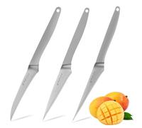 Juego de 3 cuchillos de cocina pequeños de acero inoxidable: cuchillo para verduras, cuchillo para frutas, cuchillo para pelar, acero inoxidable, cuchillo profesional súper afilado para tallar flores
