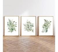 Juego de 3 Hojas de Eucalipto Con Estampado de Acuarela Hoja Floral Vegetación Botánica Hojas Arte Pintura Lienzo Pósteres Salvajes Verdes Decoración de Pared Dormitorio de Sala-50*70Cm (Sin Marco)