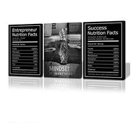 Juego de 3 lienzos motivacionales con texto en inglés "No Framed Mindset is Everything" para pared, impresiones artísticas de emprendedor, éxito, información nutricional, 20 x 28 pulgadas