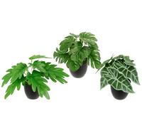 Juego de 3 mini plantas en maceta, plantas artificiales, plantas verdes, plantas en maceta, plantas de interior, flores artificiales, flores como auténticas, flores artificiales de seda, plantas de