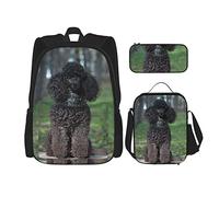 Juego de 3 mochilas atento caniche negro sentado en tocón animales de verano vida silvestre naturaleza perra raza canina bolsa de libro, color, 5.0cm*10.5cm*20.5cm, Estuche para lápices