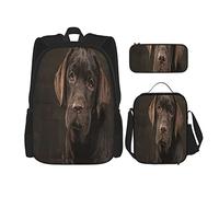 Juego de 3 mochilas de chocolate Labrador Retriever Cachorro Mejor amigo Calm Face Book Bag Travel Camping Work School Bag Estuche de lápices Bolsa de almuerzo Combinación para hombres Mujeres Niños