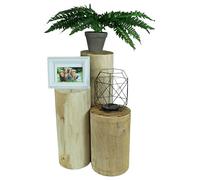 Juego de 3 troncos de madera rústicos lisos sin corteza de 30-50 cm 16-20 cm de diámetro en posición vertical para manualidades para el hogar o el jardín de madera de coníferas (juego de 3)