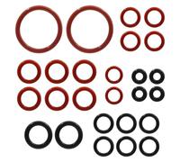 Juego de 30 Anillos de Sellado O-Ring para Cafeteras Automáticas, Repuestos para Philips Saeco Gaggia Spidem, Kit de Mantenimiento para Grupo de Preparación, Válvula de Vapor y Válvula de Salida