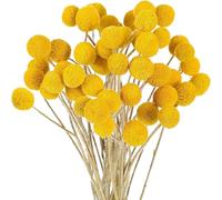 Juego de 30 flores secas amarillas secas Billy botones ramos de flores secas, ramo de flores artificiales para decoración del hogar, decoración de otoño, decoración de tartas