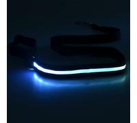 Juego de 4 correas brillantes para perro, recargables, impermeables, de nailon con mango cómodo para paseos nocturnos seguros para mascotas, correa para pasear por la noche