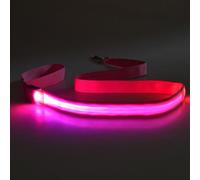 Juego de 4 correas brillantes para perro, recargables, impermeables, de nailon con mango cómodo para paseos nocturnos seguros para mascotas, correa para pasear por la noche