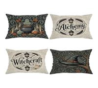 Juego de 4 fundas de almohada de caldero, vintage, alquimia mística, brujería, Halloween, color negro, con cremallera oculta, fundas de almohada decorativas para el hogar, dormitorio, sala de estar