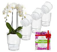 Juego de 4 macetas auto-riego transparentes para orquídeas Garten lux, Ø13cm, maceta para orquídeas 1,7L (maceta interior 1,35L con agujeros de drenaje y mecha) + 7,5L de sustrato para orquídeas para