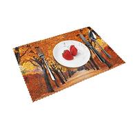 Juego de 4 manteles individuales y posavasos cubiertos de Pathway in The Woods, antideslizantes, lavables, resistentes al calor, para cocina, comedor, hogar, restaurante