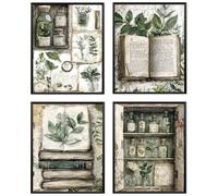 Juego de 4 pósteres vintage sin marco, diseño de libro de plantas, decoración de esquina de lectura, rincón de lectura, impresiones botánicas rústicas de la Academia, pósteres para decoración de pared