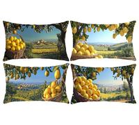 Juego de 4 Rectangular Funda de Cojines Exterior Impermeable Fundas de Almohada Sofa Cojines Terciopelo Decorativos Limón de frutas Patrón Decorativos Moderna para Jardín Sofá Silla 40x80cm y-752