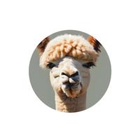 Juego de 4 tarjetas aromatizantes para coche, diseño de avatar de alpaca, para colgar en el armario, baño, ambientadores de coche, de larga duración