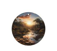 Juego de 4 tarjetas aromatizantes para coche, diseño de paisaje australiano, para colgar en el armario, baño, ambientadores de coche, de larga duración