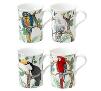 Juego de 4 tazas de porcelana fina Gracie con dise o de loros y tucanes tropicales