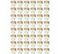 Juego De 48 Tarros De Almacenamiento Con Cierre De Clip 500ml | Tarro De Alambre