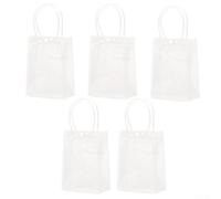 Juego de 5 bolsas transparentes reutilizables de PVC para organización y exhibición sin esfuerzo (25 x 25 x 9 cm)