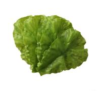 Juego de 5 hojas de lechuga falsas 3D realistas para decoración del hogar y fotografía