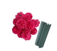 Juego de 50 cabezas de flor de clavel de seda artificial con tallos, hecho a mano, ramillete de muñeca, cabezas de pétalos múltiples de 3 pulgadas con tallos de 8 pulgadas (rojo rosa)