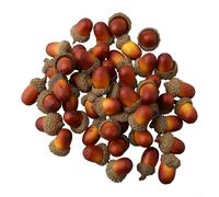 Juego de 50 piezas de bellota artificial para kits de actividades de caminata por la naturaleza, para proyectos de ciencia de escuela en casa, herramientas de estudio botánico y recursos de