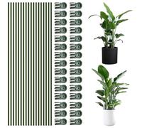 Juego de 50 Pinzas para estacas de Plantas, Color Verde. Suministros para Sujetar Plantas Altas y útiles. Su Fina Mano de Obra Permite doblarlas. Son aptas para diversas macetas de Interior
