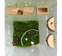 Juego de 6 accesorios para arañas saltarinas, juguete de escalada de araña saltando de árbol con cueva, comedero de arañas saltarinas, 2 plataformas de madera y 2 cintas de musgo verde, accesorios de