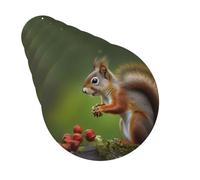 Juego de 6 ambientadores para coche, diseño de ardilla, con forma redonda, para colgar en el espejo retrovisor, tarjeta perfumada para coche