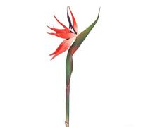 Juego de 6 flores artificiales de pájaro del paraíso para decoración de interiores y bodas, hechas con alambre de hierro y posicionamiento flexible (trompeta roja)