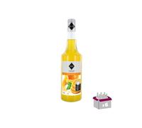 Juego de 6 jarabes Gilbert - naranja - 6x70cl