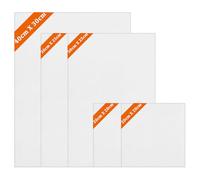 Juego de 6 lienzos estirados de varios tamaños (30 x 40 cm, 25 x 30 cm, 20 x 20 cm), lienzos de triple imprimación para pintura acrílica, óleo, acuarela, juego de arte profesional para artistas y