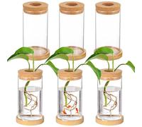 Juego de 6 macetas de vidrio con platillos de bambú y tapas de corcho, agua de escritorio para propagación de plantas, jarrones decorativos de interior para el hogar u oficina