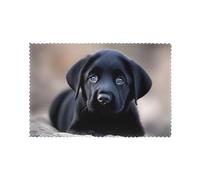 Juego de 6 manteles individuales de 12 x 18 pulgadas con estampado de cachorro de labrador negro YYHHAOFA - Grueso, resistente, para comedor, cocina, hotel, hogar y decoración de banquetes