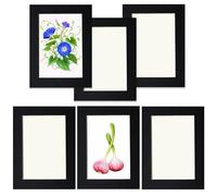 Juego de 6 marcos adhesivos para collage de 15,2 x 20,3 cm, para decoración de pared, sin clavos, para colgar en la pared para fotos, decoración del hogar, oficina, sala de estar, exposiciones, etc