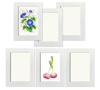 Juego de 6 marcos de fotos de cartón ecológicos de 7 x 5 pulgadas | Marcos de fotos de collage blanco crema | Soporte de pared extraíble con adhesivo despegable para paredes lisas | Incluye cubiertas