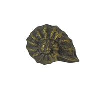 Juego de 6 tiradores de caj n Zeckos de hierro fundido con acabado en bronce envejecido r stico en forma de concha de nautilus, de 2 pulgadas de