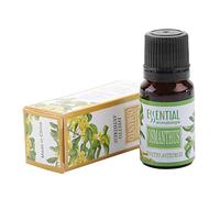 Juego de Aceites Esenciales, Té Verde, Limón, Sándalo, Etc. Fragancia para Calmar la Mente para Difusores Humidificador Casero Fabricación de Jabón para Velas, Aceites(Osmanthus fragrans)