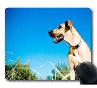 Juego de Alfombrillas, Terrier Yorkie Dog Great Dane Dog, Costura de precisión, Alfombrilla de ratón Duradera