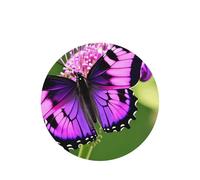Juego de ambientador colgante de mariposa morada, tarjetas redondas de fragancia de lavanda para interior de automóviles, paquete de 10/24 tarjetas