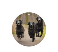 Juego de ambientador colgante de perro negro, tarjetas redondas de fragancia de lavanda para interior de automóviles, paquete de 10/24 tarjetas
