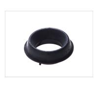 Juego de amortiguador/cojinete de puntal trasero inferior SASIC 4001603