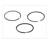 Juego de anillos de pistón MAHLE 029 55 N0