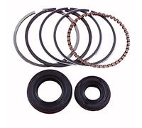 Juego de anillos de pistón y sello de aceite del cigüeñal for cortadora de césped GX35 de 4 tiempos (repuestos for motor de gasolina pequeño de 35,8 cc)