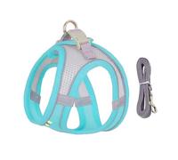 Juego de arnés ajustable y correa de 1,5 m para perros pequeños, perfecto para chihuahuas y pug, ideal para pasear al aire libre (azul cielo, XS 2,5-4 kg)