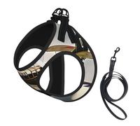 Juego de arnés para perro con correa con estampado de avión de la Segunda Guerra Mundial, chaleco transpirable para cachorros, gatos, perros, arnés ajustable para cachorros sin tirones