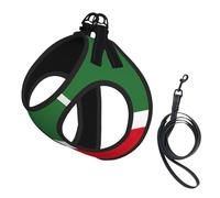 Juego de arnés para perro con correa con estampado de bandera de la República de Chechenia con chaleco acolchado grueso para perros extra pequeños/pequeños y medianos