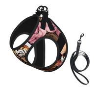 Juego de arnés para perro con estampado de leopardo y rosa con correa con chaleco acolchado grueso para perros extra pequeños/pequeños y medianos