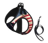 Juego de arnés para perro con estampado patriótico del Día de los Caídos de los soldados militares estadounidenses con correa con chaleco acolchado grueso para perros extra pequeños/pequeños y