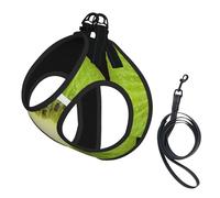 Juego de arnés y correa con estampado de kiwi para perro, ajustable, transpirable, suave, chaleco de malla para mascotas con tira reflectante