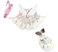 Juego de arnés y correa de conejo, conejo, hurón, ropa de conejo para conejos, ropa de vestir de conejillo de indias para gatito, hurón, chihuahua, cachorro, mini perro (rosa con verde, M)